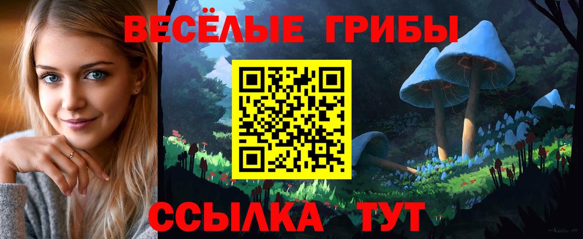 Псилоцибиновые грибы Psilocybe  Псилоцибиновые грибы Psilocybe  Лабытнанги  Вход с VPN 
